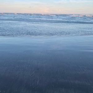 Meet your Posher, Leena